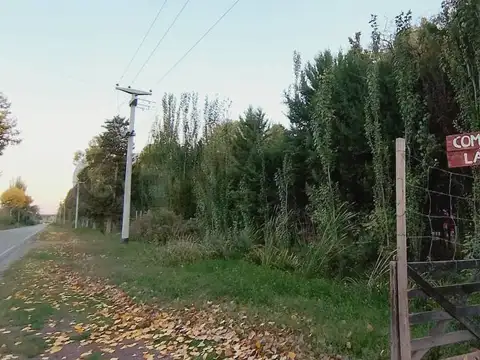 Crayón , Piso 0