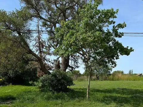 Terreno en Venta de 416,0 m2