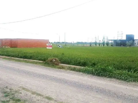 3 Terrenos baldíos en Venta