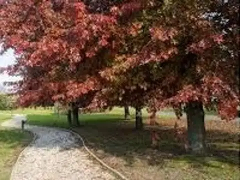 AYRES DE PILAR - VENTA