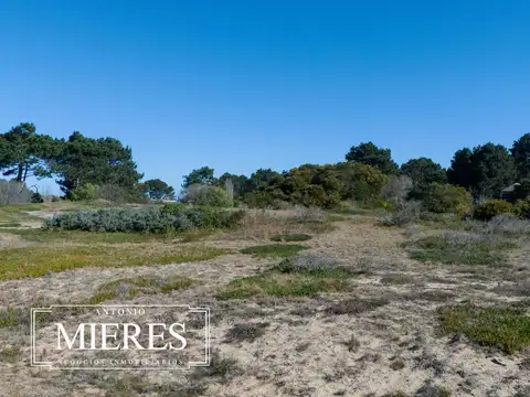 Terreno en Venta de 4237,0 m2