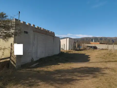 Juan Domingo Peron 100