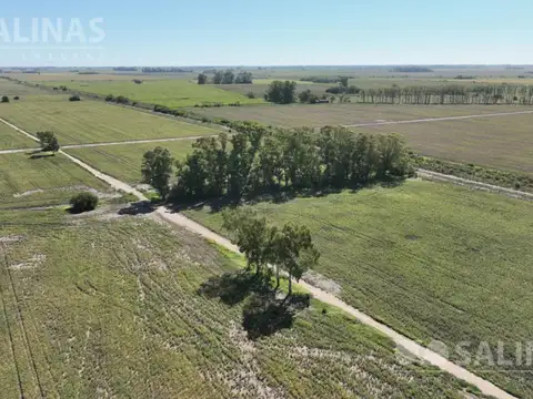 Campo en Venta de 78  ha