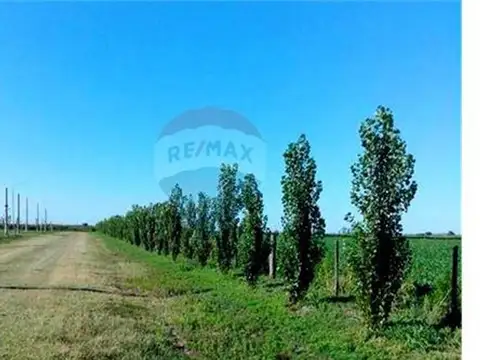 Terreno en Venta en Carcaraña, USD 18.000