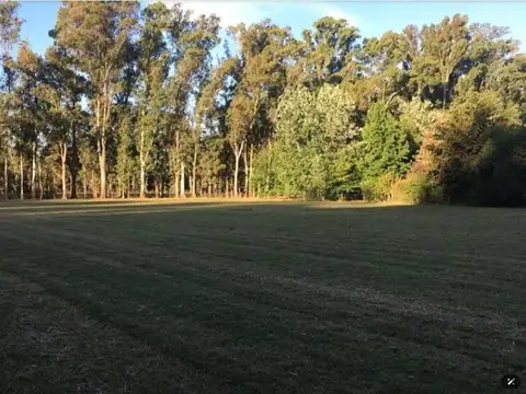 Terreno en Venta de 6000,0 m2