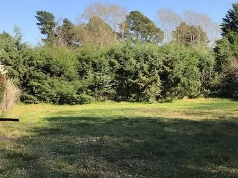 Terreno en Venta de 800,0 m2