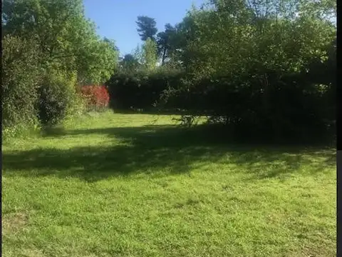 Terreno en Venta de 800,0 m2