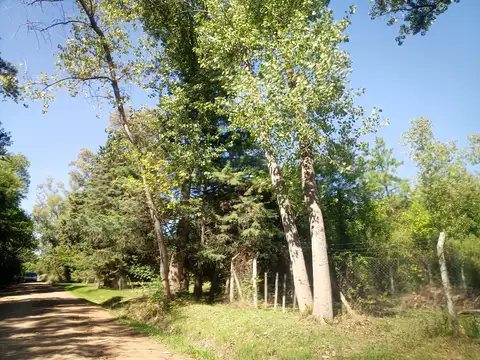 VENTA TERRENO EN LA LONJA, PILAR