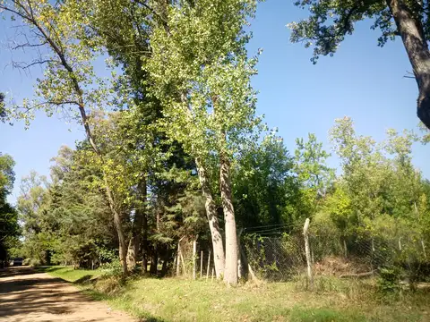 VENTA TERRENO EN LA LONJA, PILAR