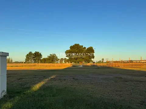 Venta Terreno / Lote en La alameda 100