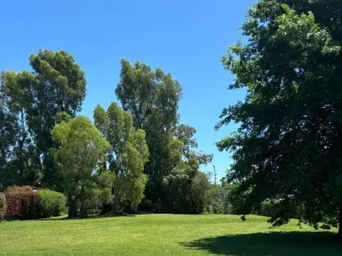 Terreno en Venta de 1033,0 m2