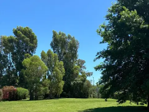 Terreno en Venta de 1033,0 m2