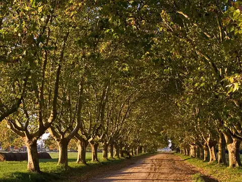 Terreno en Venta en Estancia Villa Maria, USD 45.000