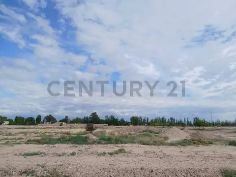 Terreno en Venta de 300,0 m2