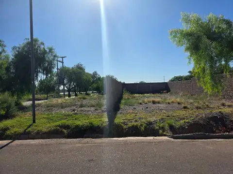 Cabildo de Mendoza 100