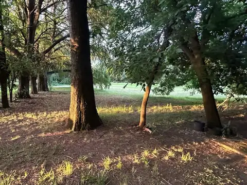 Camino Límite del Municipio S/N