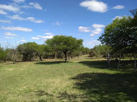 1.5 Hectáreas en Los Molles SL