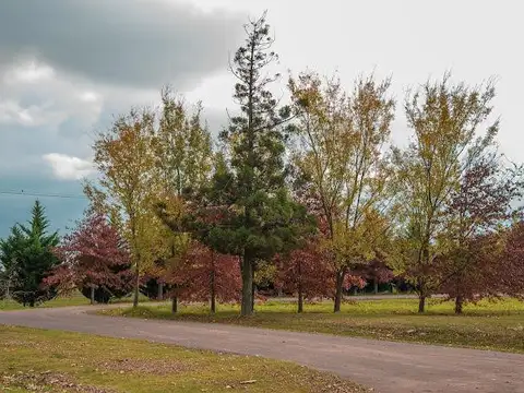 Estancia La Rinconada- Terrenos de 1000 m2 en barrio privado en Ibarlucea, a 25' de Rosario, ruta 34
