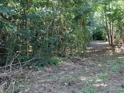 XQF7+H6V Los Molles, Córdoba