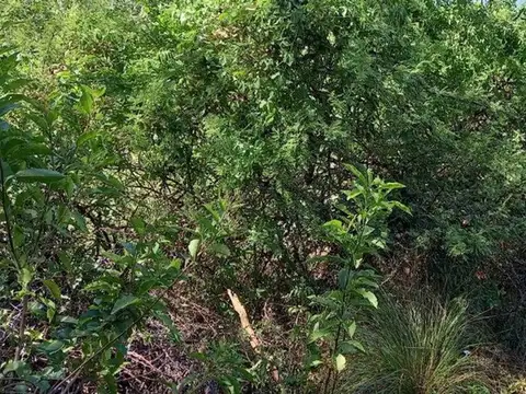 Terreno en Venta en La Granja, USD 29.990