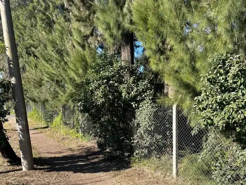 Lote En Francisco Alvarez