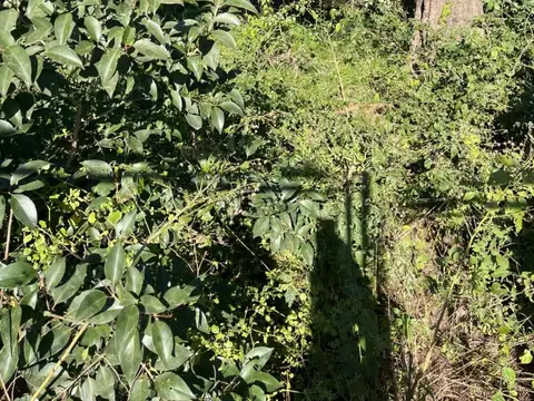 Terreno en Venta en Francisco Alvarez, USD 90.000