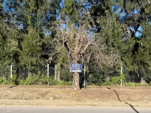 Terreno en Venta de 2020,0 m2