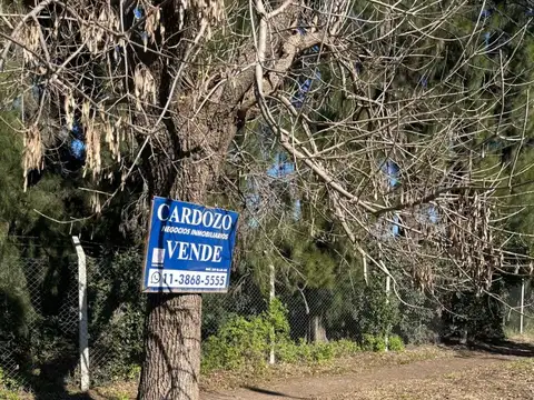 Terreno en Venta 25  mts Frente