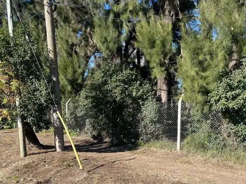 Lote En Francisco Alvarez