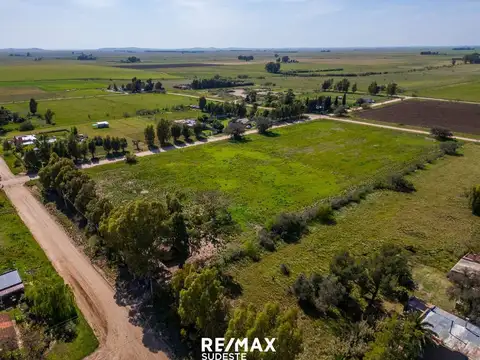 Terreno en Venta de 10000,0 m2