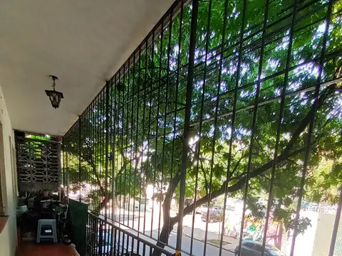 LUIS VIALE 600
