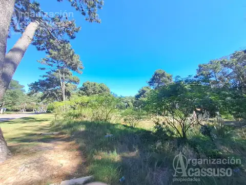 Terreno - sobre Av. Pedragosa Sierra - 5.951 m2 a pocas cuadras del shopping Punta del Este