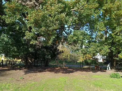 Terreno en Venta 100  mts Fondo