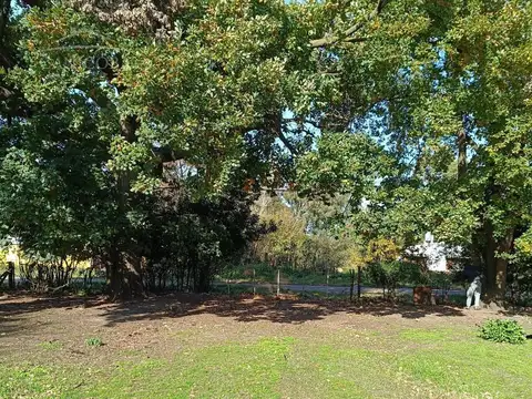 Terreno en Venta 100  mts Fondo
