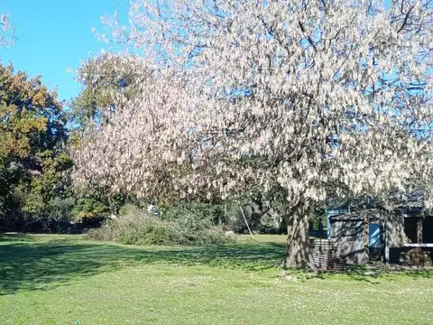 Terreno en Venta 100  mts Fondo