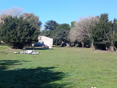Terreno en Venta 42  mts Frente