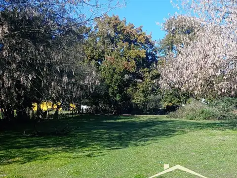 Terreno en Venta 42  mts Frente
