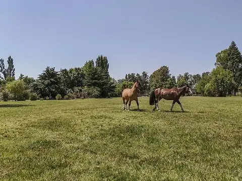 Terreno en Venta de 7775,0 m2