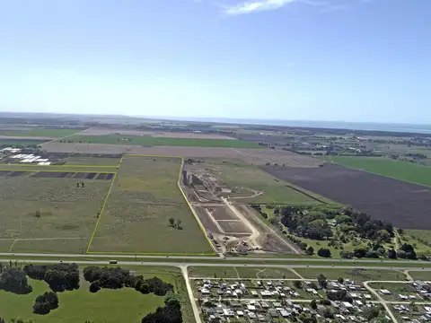 Mar del Plata - 63 has