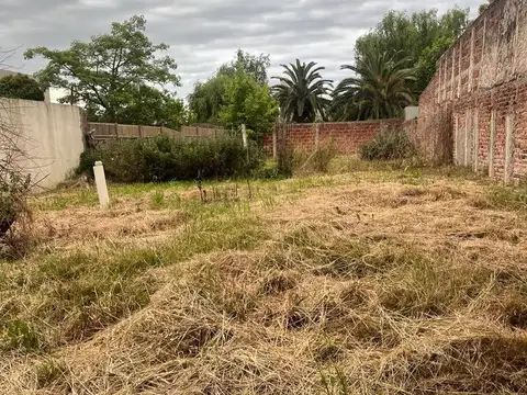 Casa en Alquiler 40 años