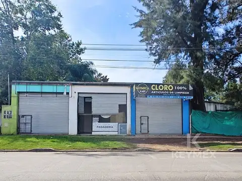 Local en Alquiler A Estrenar