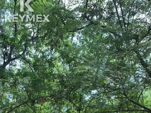 Terreno en Venta en Campos De Roca, USD 65.000