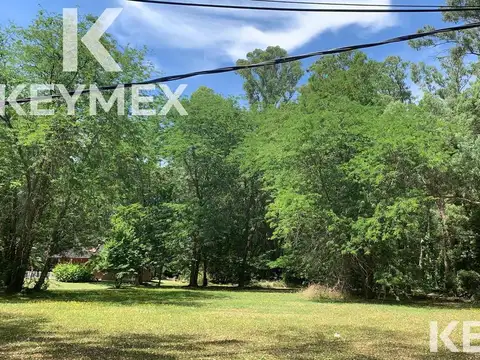 Campos de Roca  Ruta 2 km 65