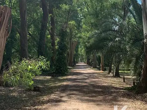 Terreno en Venta de 4800,0 m2