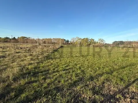 32 e/ 191 y 192 - LOTE EN BARRIO CERRADO ALDEA DEL BOSQUE 2
