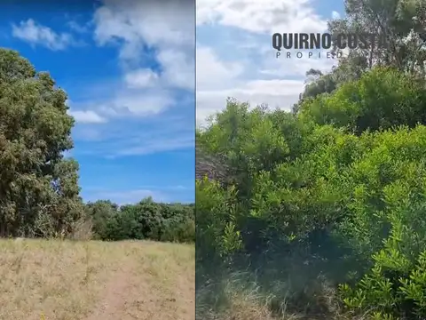 Campos con frente al Mar  Tres Arroyos 139,2 Ha
