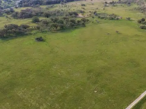 Venta Hectareas apto desarrollo En Canning-San Vicente