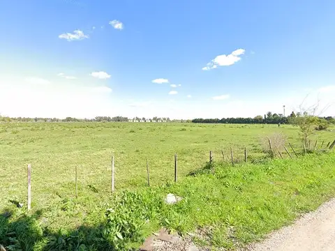 Venta Hectareas apto desarrollo En Canning-San Vicente