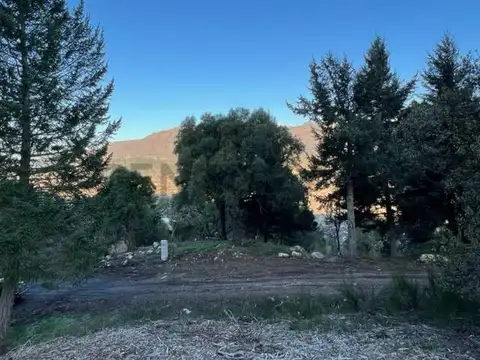 Terreno en Venta de 1000,0 m2