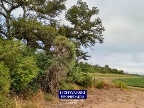 Campo en Venta Agrícola